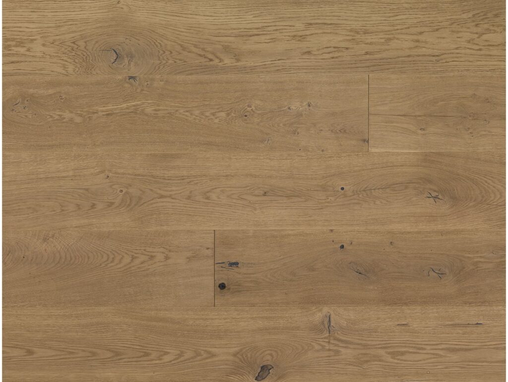 Eko 20404d