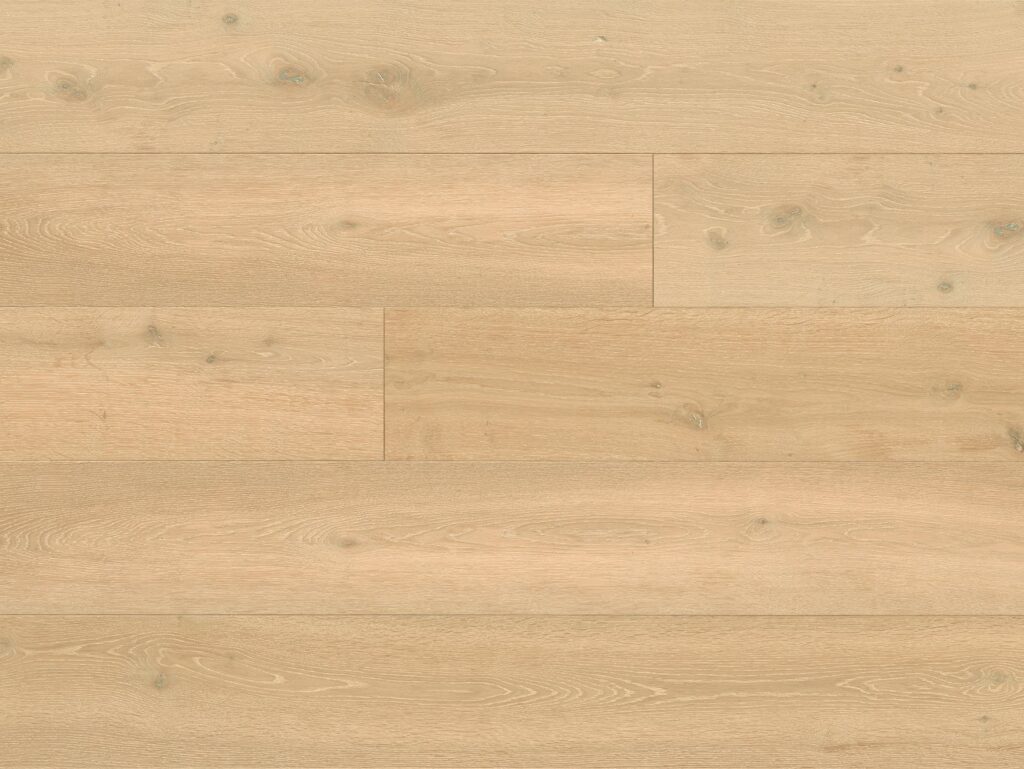 Eko 204010D