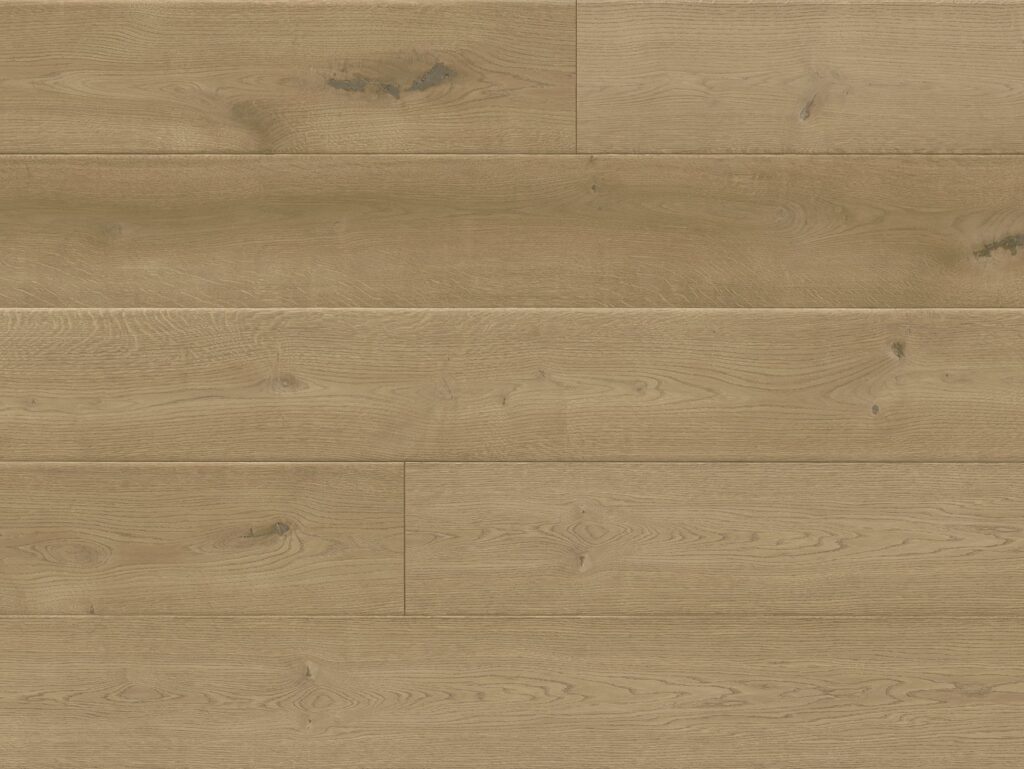 Eko 204011D