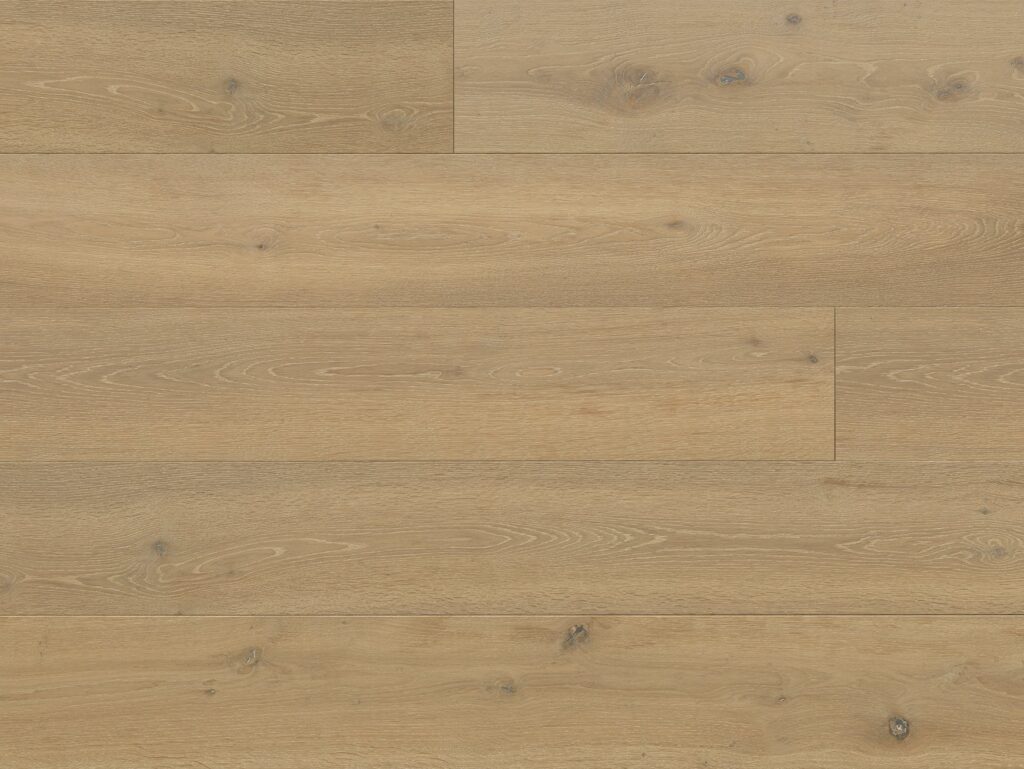 Eko 204012D